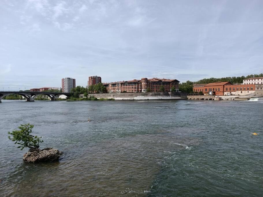 Appartamento T3 Lumineux - Berges De La Garonne - Parking Tolosa Esterno foto