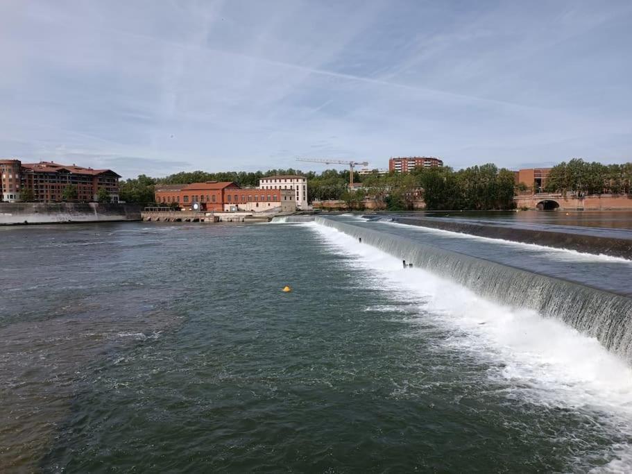 Appartamento T3 Lumineux - Berges De La Garonne - Parking Tolosa Esterno foto
